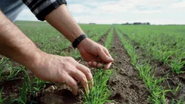 Ecoelecciones: todos prometieron una agenda ambiental de vanguardia