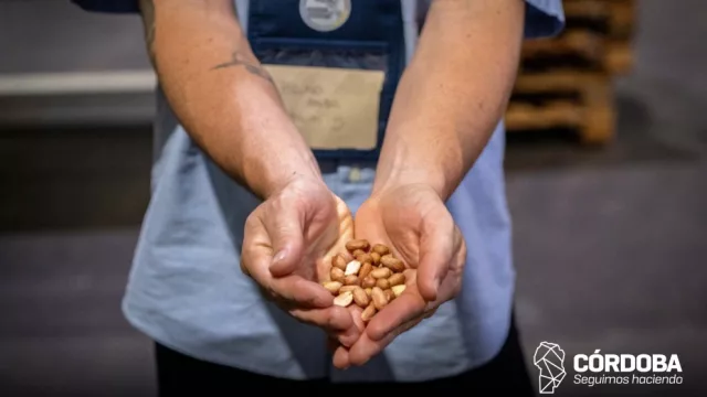 Córdoba consolida su modelo de clústeres para impulsar el desarrollo productivo