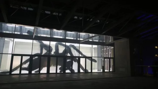 La proyección de una escultura gigante de una araña hecha por artistas alemanes, una de las obras que se vio en la 14ta edición de la  Nuit Blanche