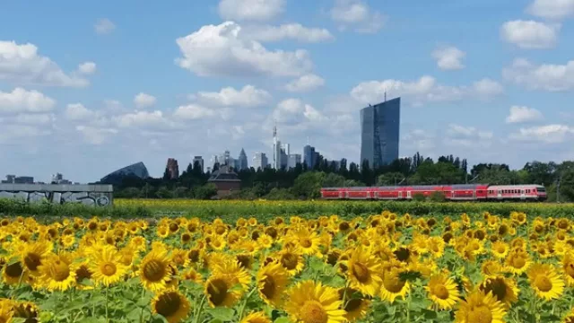 La torre que golpea las puertas del cielo en Frankfurt