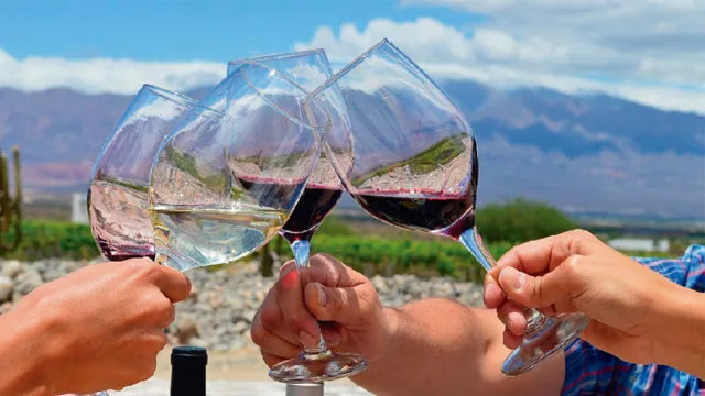 Las bodegas de Salta, en alerta por el derrumbe del consumo de vino: “La situación es preocupante”