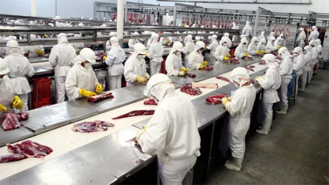 JBS abre otro frigorífico en Concepción