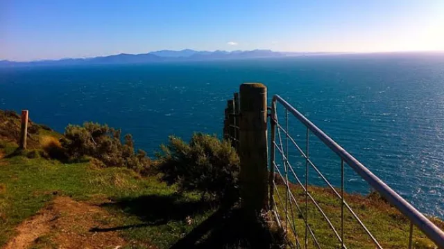 La ciudad de Wellington, en Nueva Zelanda.