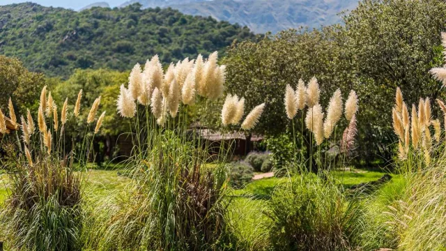 Crece el turismo de bienestar en Córdoba ahora con un enfoque integral y con más atención en la salud cerebral - cognitiva