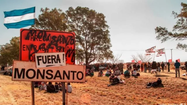 Cree que la posición de la UIC a favor de Syngenta llega tarde