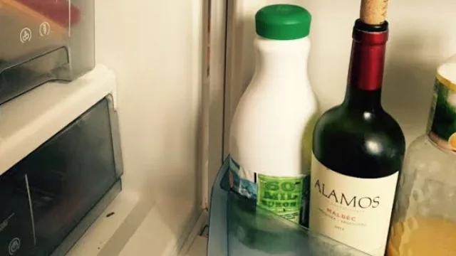 El malbec que Mechi Forte extraña en España es argentino.