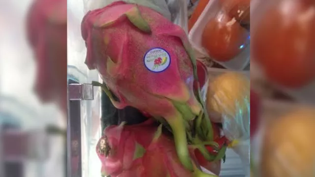 "Dragon Fruit", una de las frutas típicas de Brunei.