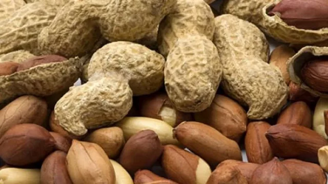 Un viaje a la tierra de Mao que puede revolucionar la industria cordobesa del maní