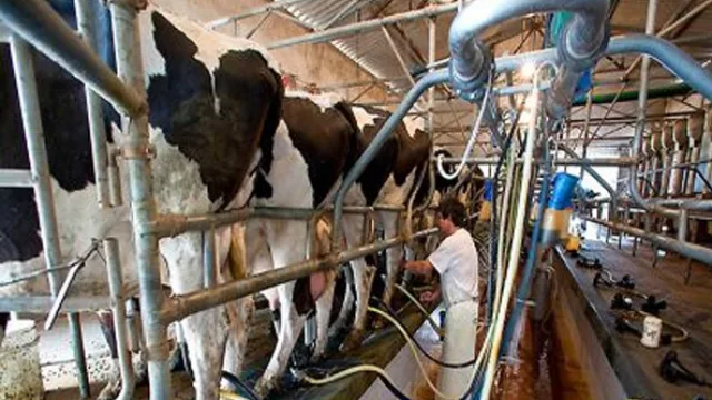 Dicen que sin cambios, en un mes “implosionan” los tambos de Córdoba (precios a productores caen 10%)