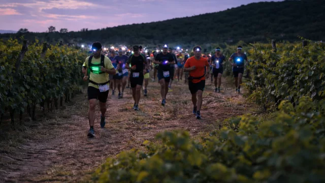 Correr de noche y entre viñedos (encuentro runner turístico en las bodegas de Colonia Caroya)
