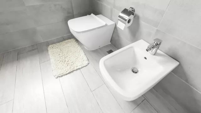 Cómo el bidet pasó de ser un lujo francés a un infaltable del baño argentino (y casi inexistente en EE.UU. o Reino Unido)