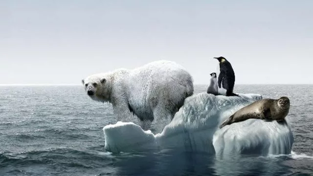 Latinoamérica es la región del planeta más preocupada por el cambio climático