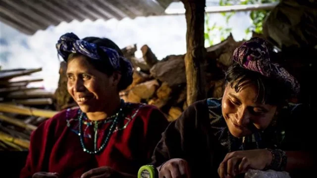 Cuando la producción sustentable no es sólo una moda: Wakabi global leading case