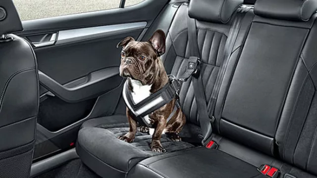 Skoda lanza un cinturón de seguridad para perros