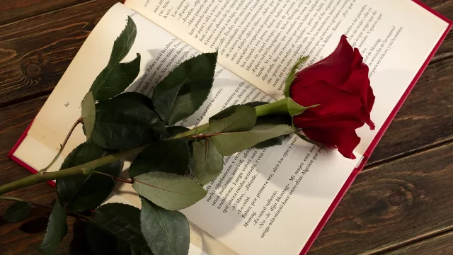 Sant Jordi: cómo elegir la rosa perfecta y acertar con la dedicatoria