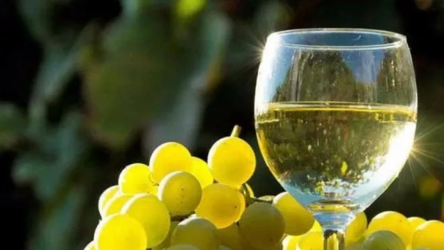 Para disfrutar de manera virtual y presencial: Semana del Torrontés de Altura 