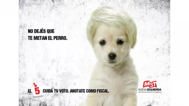 Para que no te metan el  perro le pusieron un "gato"