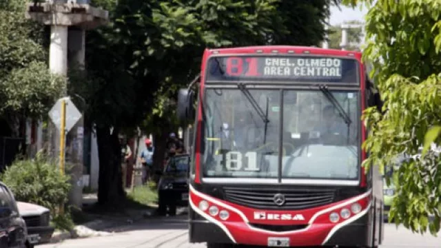 15 ''lulu'' el sueldo de arranque de un chofer