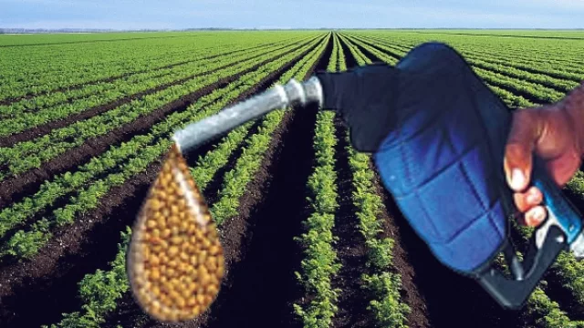 Fuerte caída de la producción de biodiesel en el primer trimestre