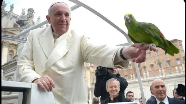 Para que quede claro: hasta Francisco habla de sustentabilidad (las barbas en remojo)