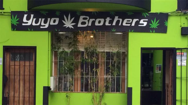 El negocio de Yuyo Brothers crece como la marihuana (tres sucursales y más planes)