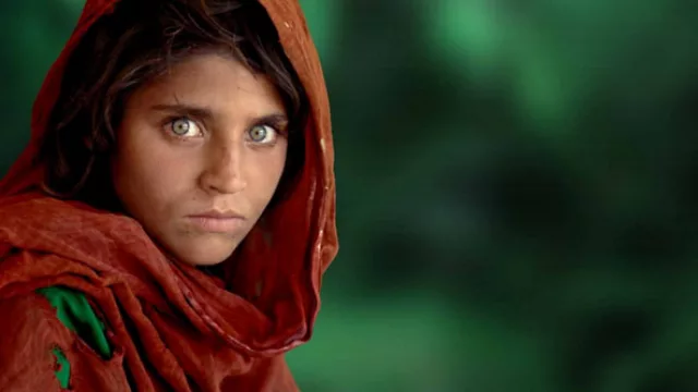 Tenemos más entradas para la muestra de 220