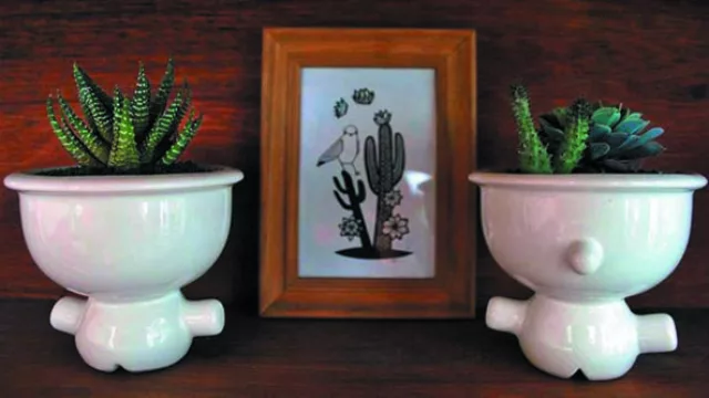 Las plantas mascota, una nueva tendencia que presta atención a las macetas.