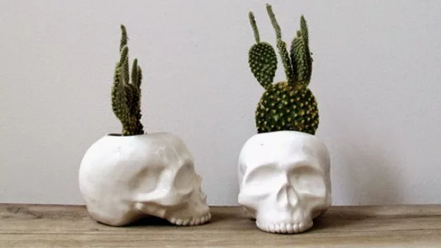 Macetas con forma de calavera.
