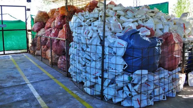 Los gringos recolectaron 350.000 kilos más de envases plásticos que hace un año, dice Casafe