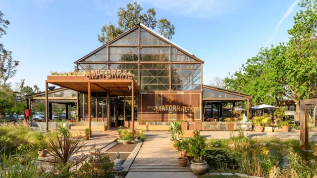 Lo que Matorral “blurea”: cuáles son las parrillas que “serían” las más caras de Córdoba