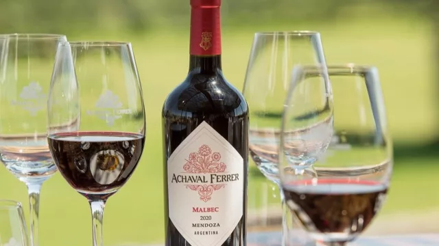 Día del Malbec: vinos recomendados para brindar en su honor