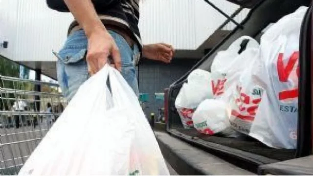 “La idea es que en el mediano plazo se dejen de usar las bolsas plásticas”