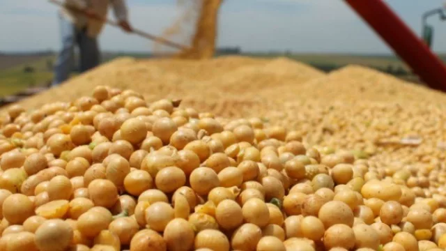 Bioceres, la UNL y el Conicet, asociados para un desarrollo transgénico inédito: soja antisequía