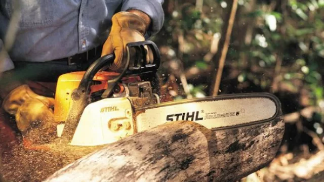 Los microemprendimientos empujan las ventas de Stihl (Córdoba, el principal mercado del país)