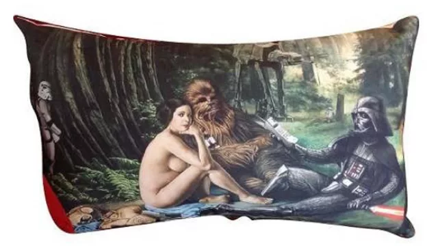 Un almohadón con una “obra de arte” impresa.