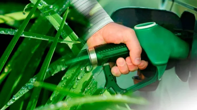 La presión de los azucareros perjudica a ''etanoleros'' cordobeses