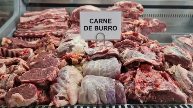 Tucumán advierte que no se puede vender carne de burro en el país (qué dice la normativa sanitaria)