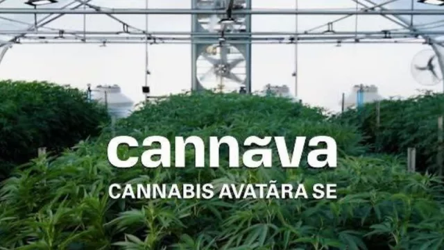 Jujuy, primera otra vez: presentará el primer aceite medicinal de cannabis autorizado fabricado en Argentina