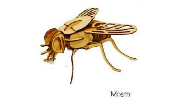 Bichos, by Qiri Toys.