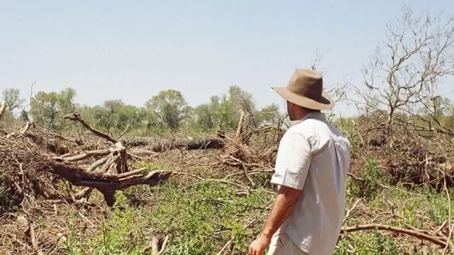 Banco de Bosques, una nueva manera de preservar los bosques nativos (una salida a la crisis del cambio climático)