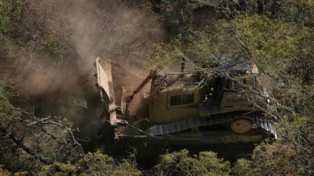 Deforestación y desmonte.