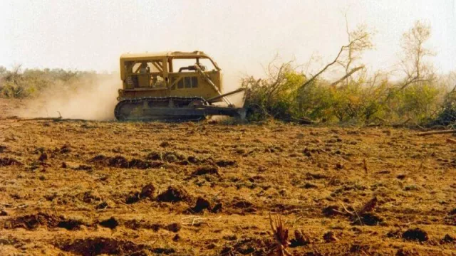 Deforestación y desmonte.