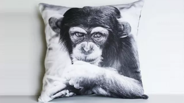 Una serie de fotografías en almohadones que podés conseguir en Etsy.