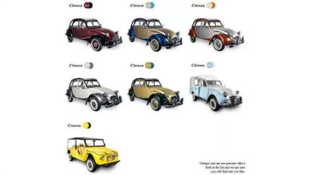 Los modelos que alquila Slowkar.