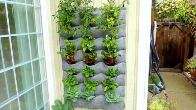 Jardines verticales caseros. Una alternativa para llenar de “verde” la vista en ese ambiente.
