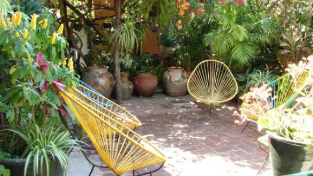  Piezas de diseño conjugan con la vegetación.