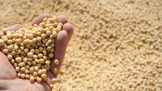 Argentina está experimentando una reconfiguración de su matriz productiva (cayó la agroindustria) impacta en Santa María
