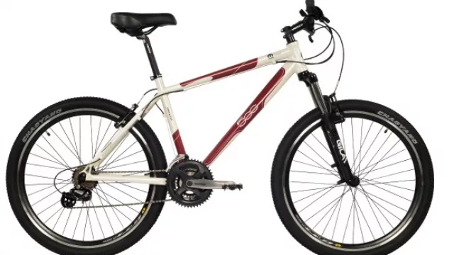 Por poner la marca Fiat, una bici sale hasta 30% más cara que una marca blanca