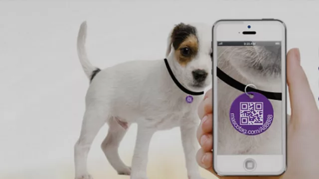 ¡Los códigos QR hasta en las mascotas! Mascotag pretende que no haya perdidos