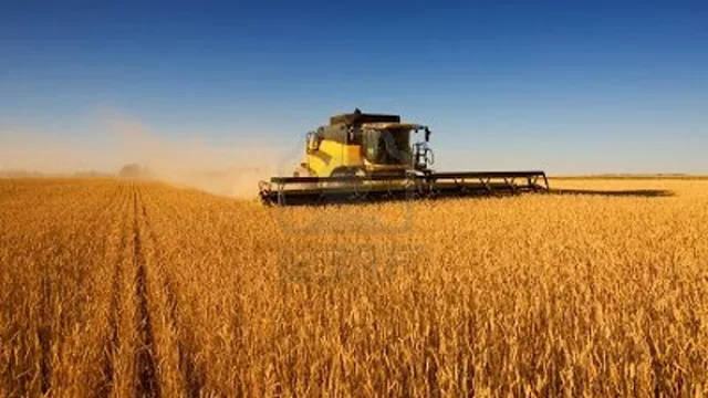 El campo podría generar 500.000 puestos de trabajo hasta 2019 (informe de FADA)